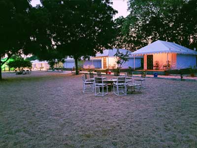 jawai leopard camp